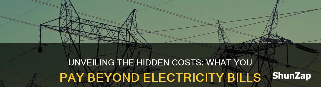 what do you actually buy from the electric companies