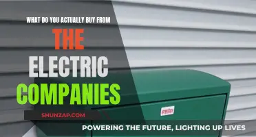 Electric Companies: What Are You Really Paying For?