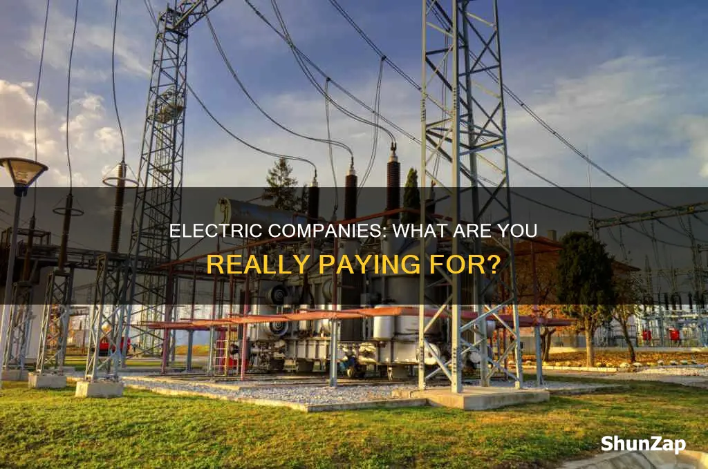 what do you actually buy from the electric companies