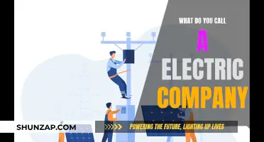 The Electric Company: Powering Your World