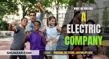 The Buzzing Business of Electricity: Powering Names