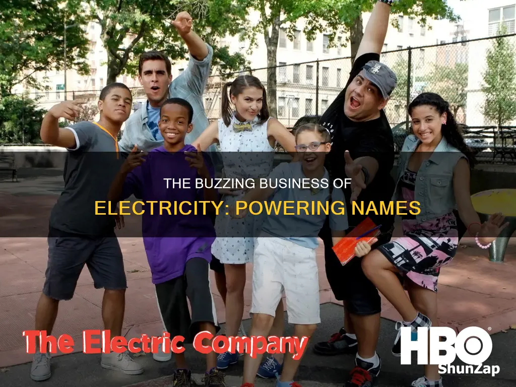 what do you call a electric company