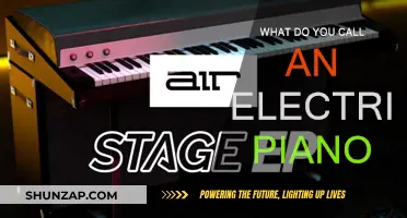 The Electric Piano: What's in a Name?