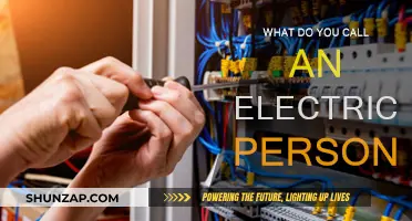 Electricians: The Power Professionals