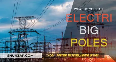 The Evolution of Electric Power Poles: What's in a Name?