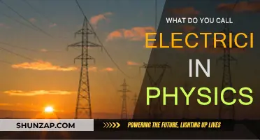 Electricity in Physics: The Study of Electrons and Sparks