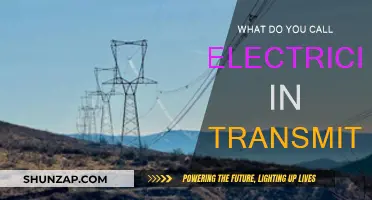 Transmitters' Electric Current: What's the Name?