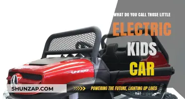 What Are Those Mini Electric Kids' Ride-On Cars Called?