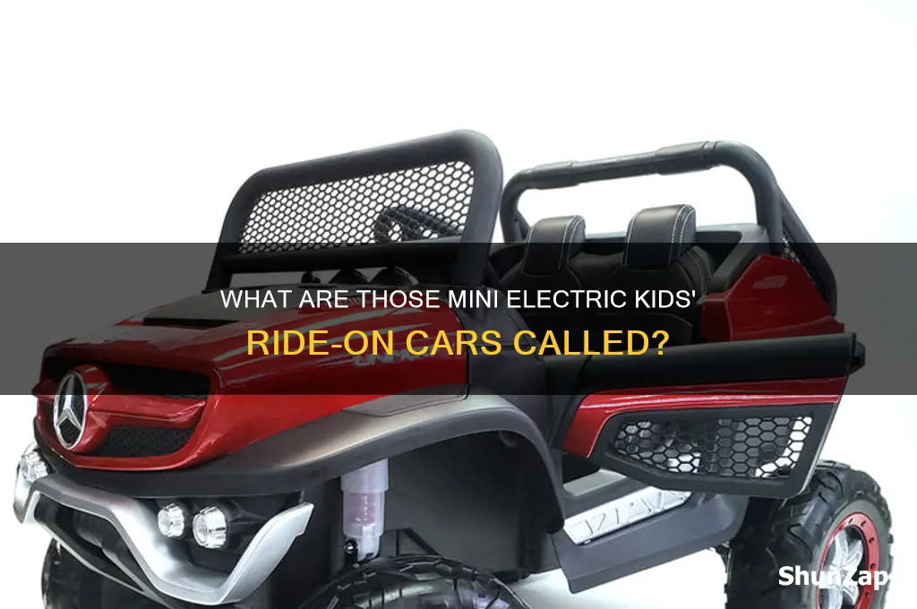 what do you call those little electric kids car