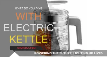 The Perfect Pairing: Electric Kettles and Tea Time