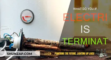 Unexpected Power Cut: What to Do When Electricity is Terminated