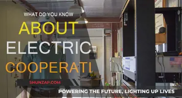 Electric Cooperatives: Powering Communities Together