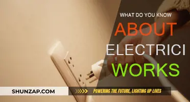 Electricity Basics: A Worksheet Guide