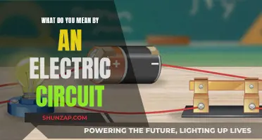 Understanding Electric Circuits: Power and Connections Explained