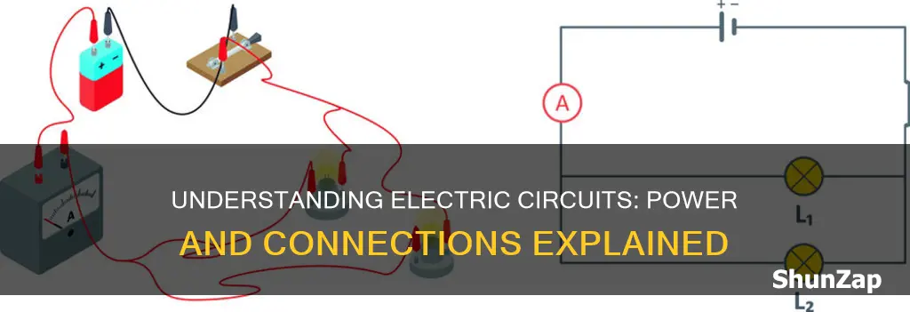 what do you mean by an electric circuit