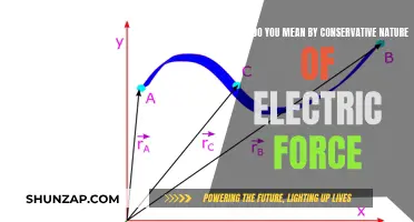 Electric Force: Conserving Nature's Balance with Power