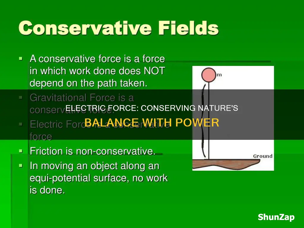 what do you mean by conservative nature of electric force