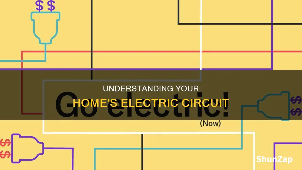 what do you mean by domestic electric circuit