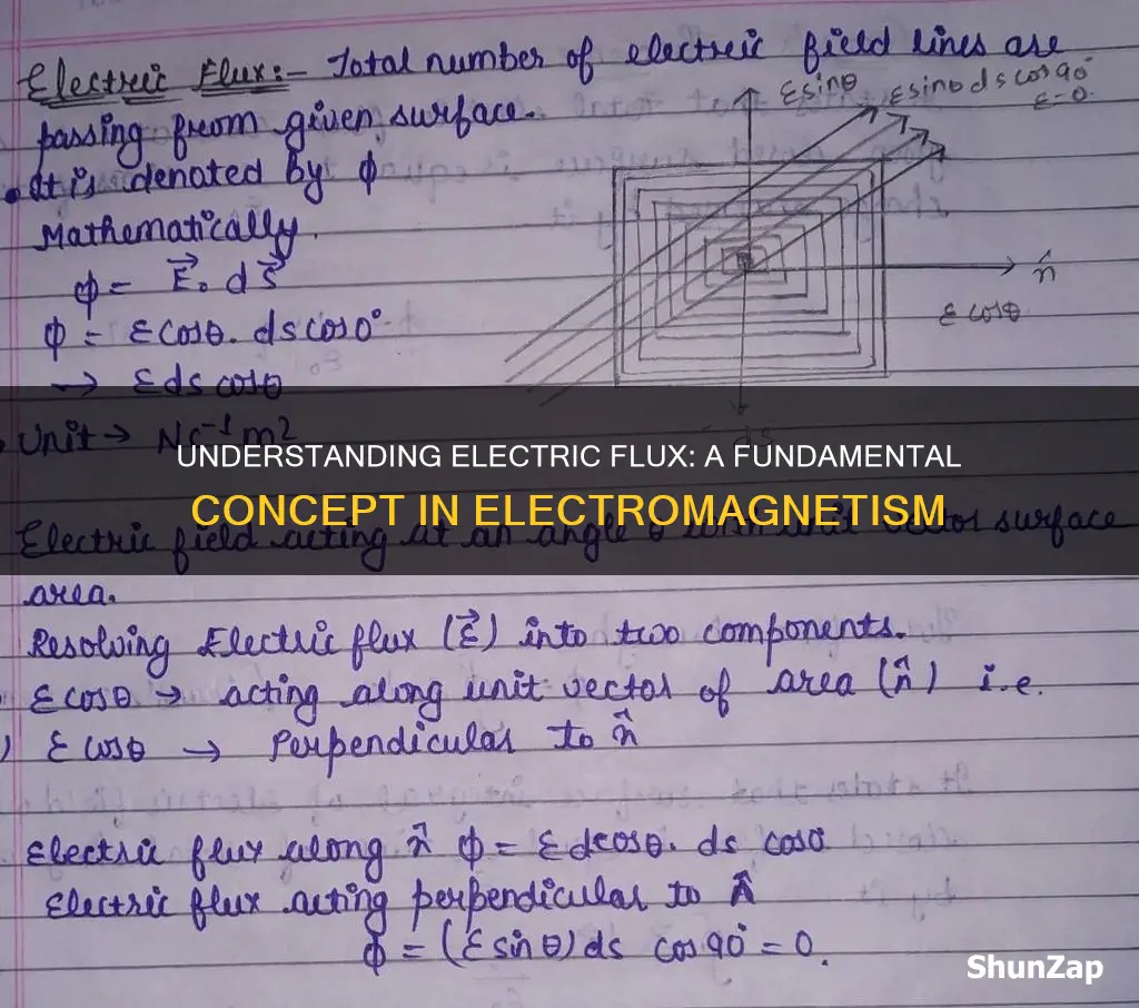 what do you mean by electric flux