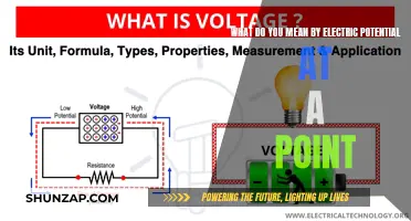 Understanding Electric Potential: Definition and Significance