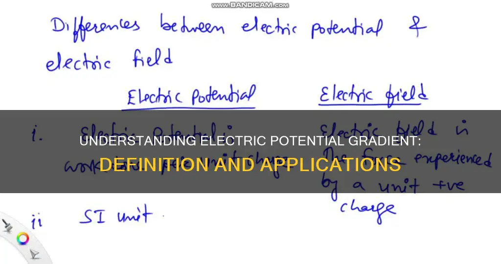 what do you mean by electric potential gradient