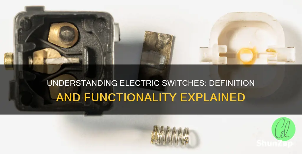 what do you mean by electric switch