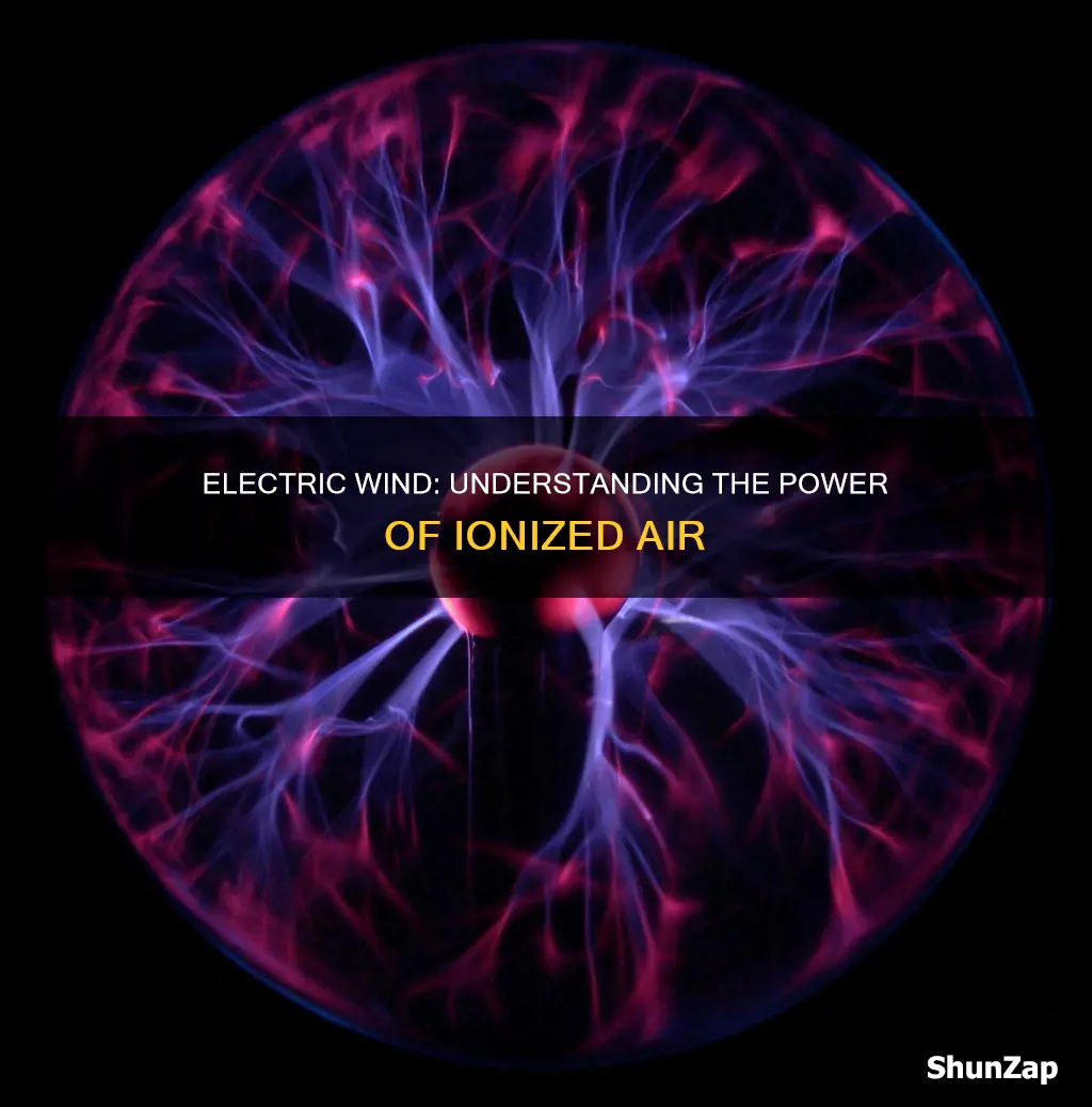 what do you mean by electric wind