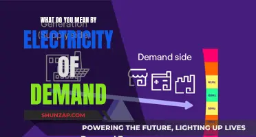 Understanding Electricity of Demand: Powering a Flexible Energy Future