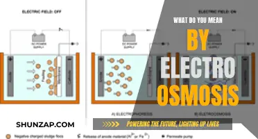 Understanding Electro Osmosis: How It Works and Its Applications