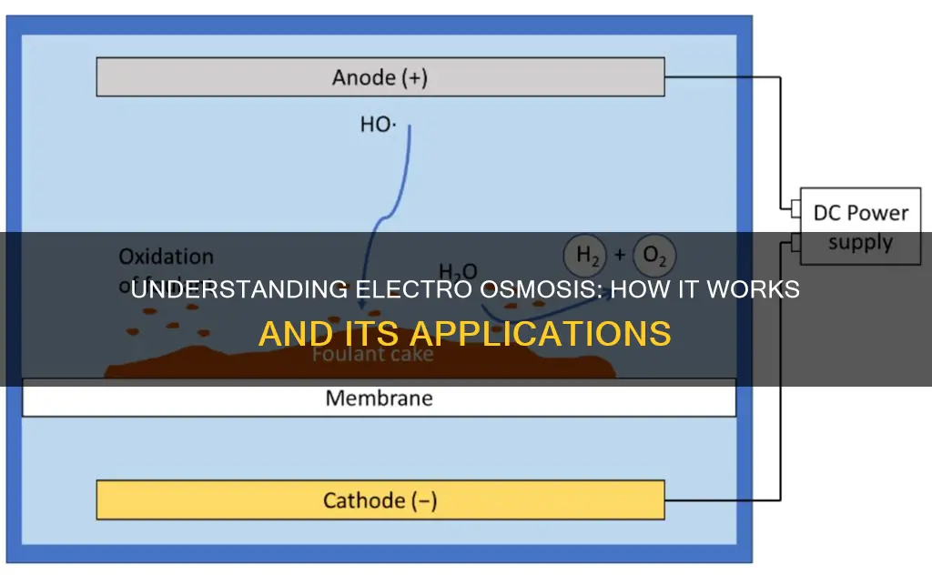 what do you mean by electro osmosis