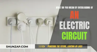 Understanding Electric Circuit Overloading and Its Implications