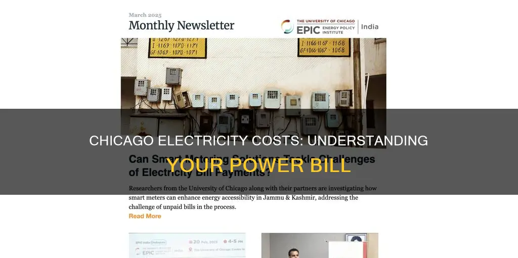 what do you pay for electricity chicago