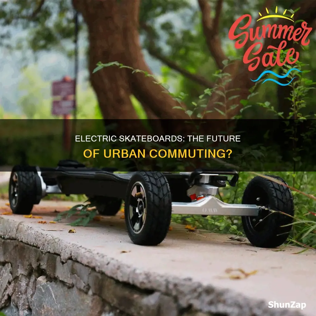 what do you think of electric skateboards