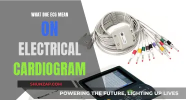 Understanding ECG: Electrical Cardiogram Explained
