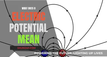 Understanding Zero Electric Potential and Its Significance