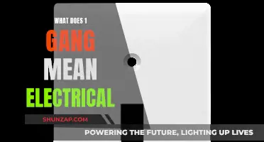Understanding Electrical Jargon: What Does '1 Gang' Mean?