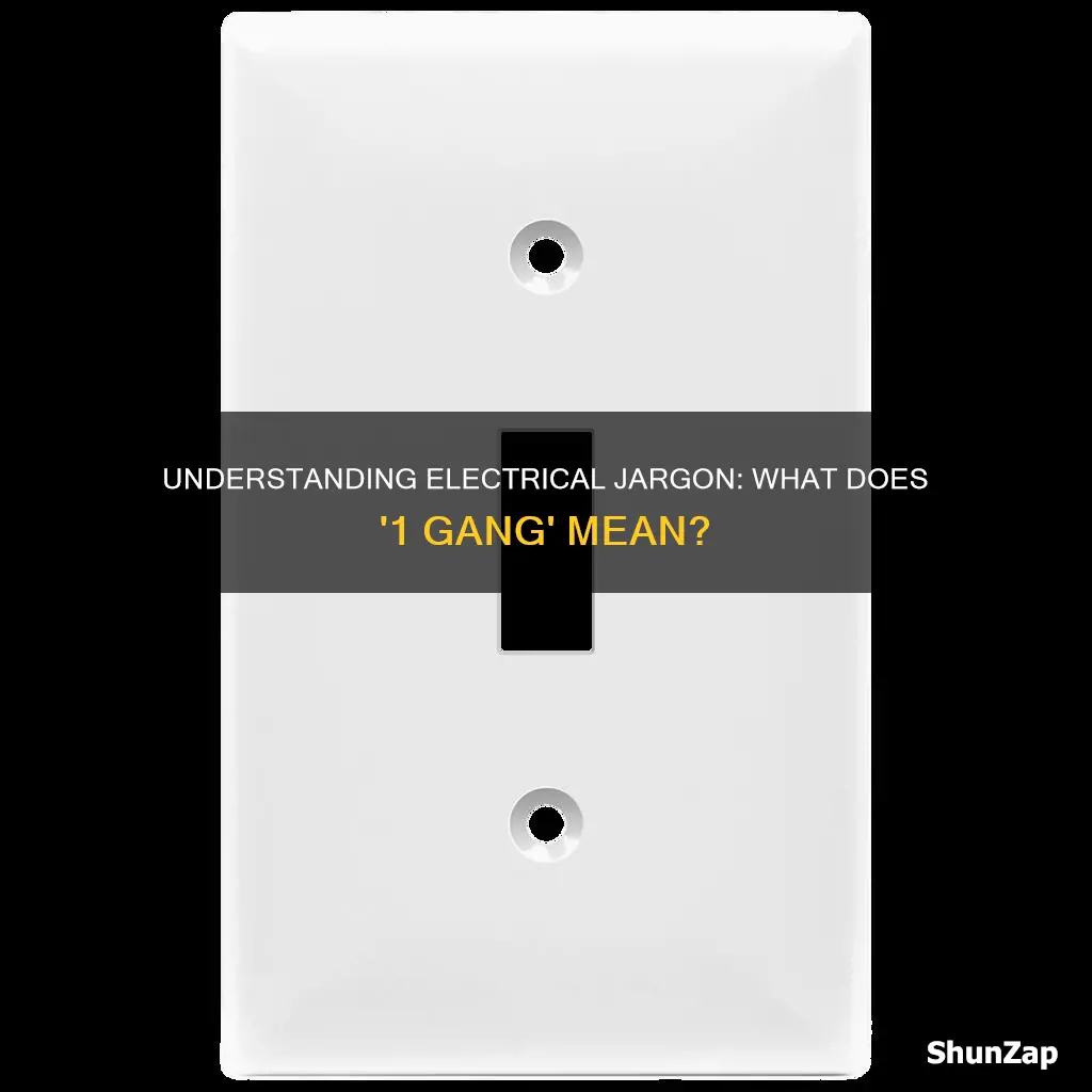 what does 1 gang mean electrical