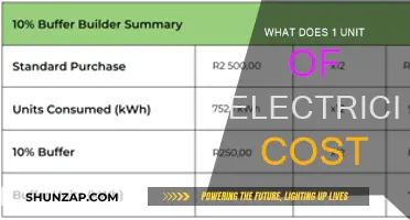 Understanding the Cost of Electricity Units