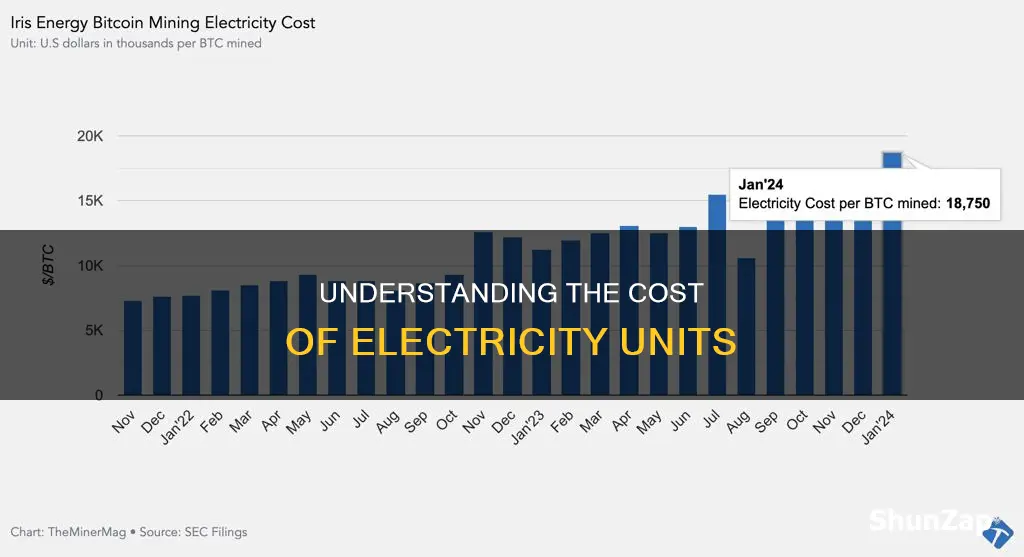 what does 1 unit of electricity cost