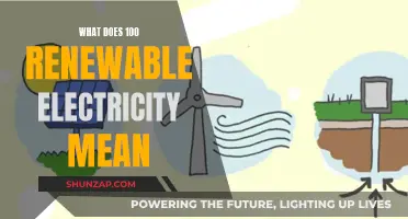 Renewable Electricity: Powering a Sustainable Future with 100% Clean Energy