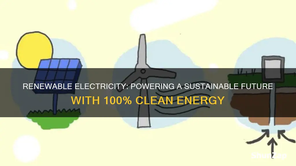 what does 100 renewable electricity mean