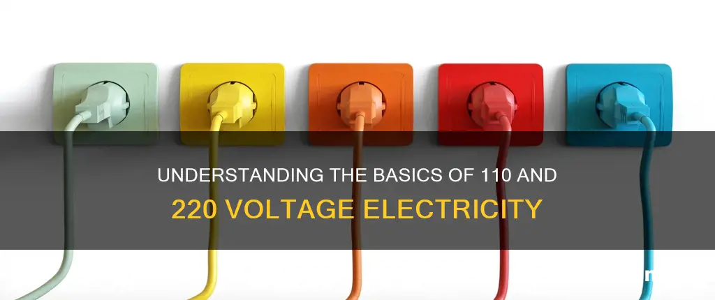 what does 110 and 220 electricity mean