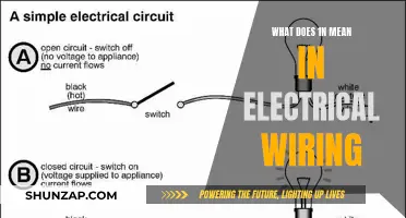 Understanding the Significance of '1N' in Electrical Wiring