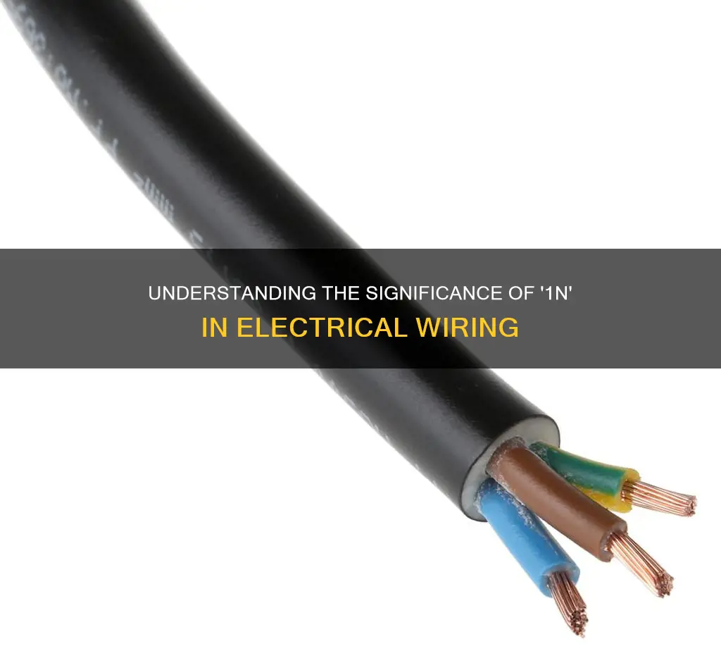 what does 1n mean in electrical wiring
