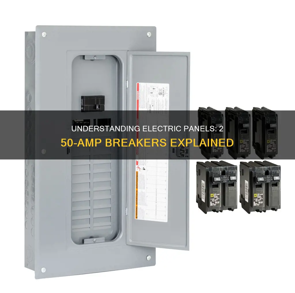 what does 2 50 breakers mean in electric panel