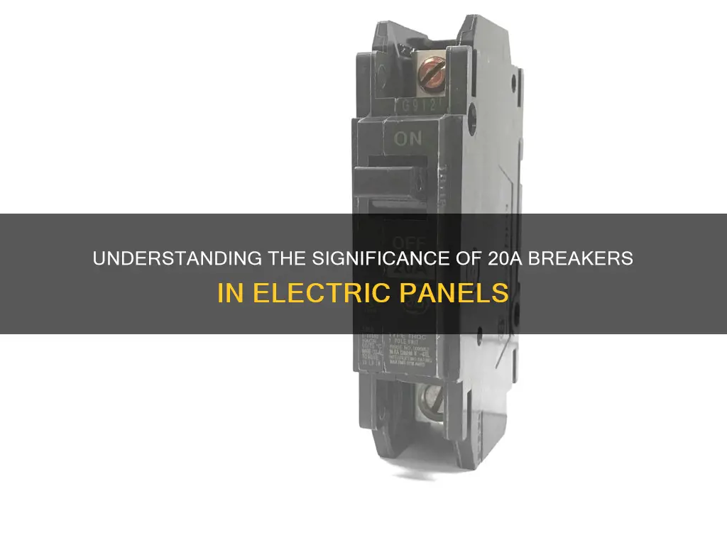 what does 20a mean inside the electric panel