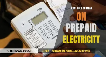Understanding Prepaid Electricity and the Significance of '30'
