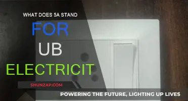 Understanding the 5A Rating in Electrical Appliances