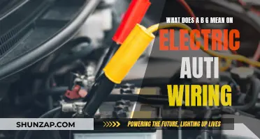 Understanding Electrical Wiring: Decoding the BG Label