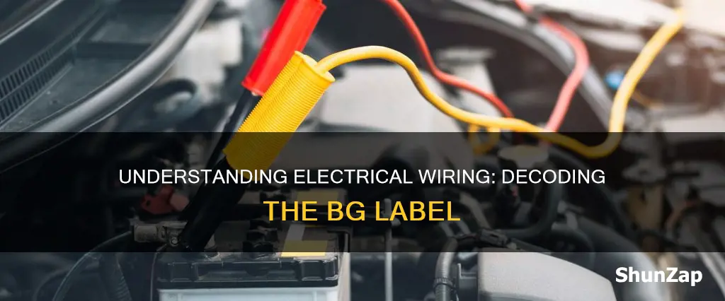 what does a b g mean on electric auti wiring